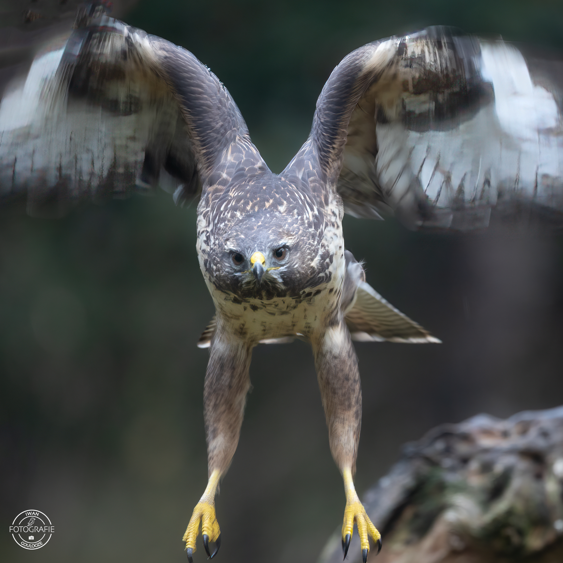 23 oktober 2022 094042 1R2A8891 bewerkt